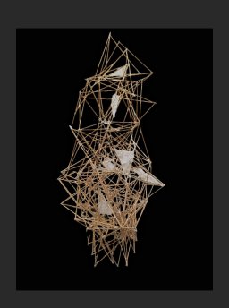 Mostre &raquo; Fragili architetture Esposizione ed opere